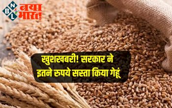 Wheat Price Down : खुशखबरी! काफी समय बाद कम हुआ गेहूं के दाम! किसानों के साथ आमआदमी को भी मिलेगा फायदा, जाने कितना है अब कीमत...