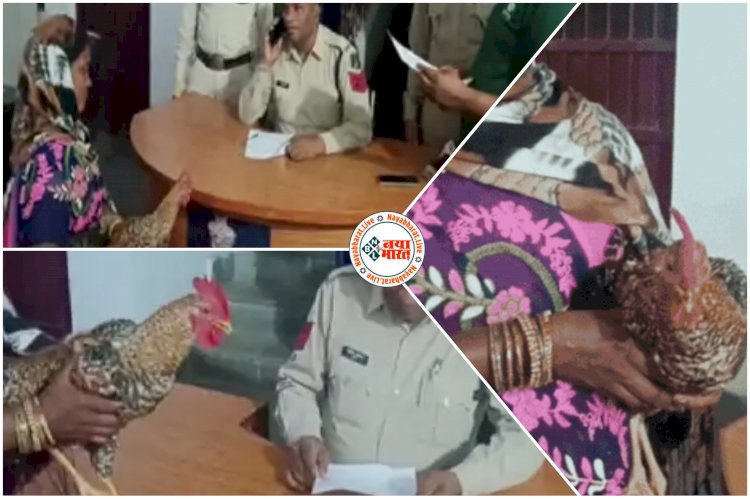 CG में पड़ोसी ने मुर्गा चोरी कर तोड़ दिया पंख: मुर्गे को थाने में लेकर पहुंची महिला, शिकायत सुनकर पुलिसकर्मी भी हो गए हैरान, महिला बोली- मुर्गे के मर्डर की कोशिश....