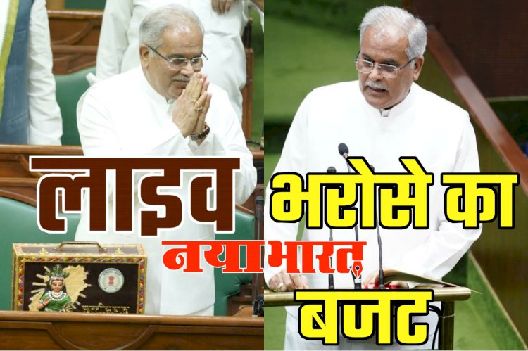 CG Budget 2023: इन 10 के मानदेय में बड़ी वृद्धि... इस जिले में खुलेगा नया जंगल सफारी... बेटियों की शादी में अब छत्तीसगढ़ सरकार देगी 50 हजार रूपए... मुख्यमंत्री की सभी बड़ी घोषणाएं... पढ़िए एक साथ....