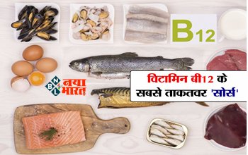 Non Veg Source of Vitamin B12: दुनिया के सबसे ताकतवर विटामिन बी12 फूड्स जानकर उड़ जाएंगे होश! एक बार खाने से ही मिलेंगे ढेर साले लाभ...