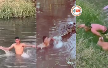 Crocodile Viral News : दोस्त ने दोस्त के साथ किया गजब का मजाक, लड़के के पीछे छोड़ दिया नकली मगरमच्छ, उसके बाद जो हुआ, नज़ारा देख खूब हसेंगे आप- देखें मजेदार वीडियो...