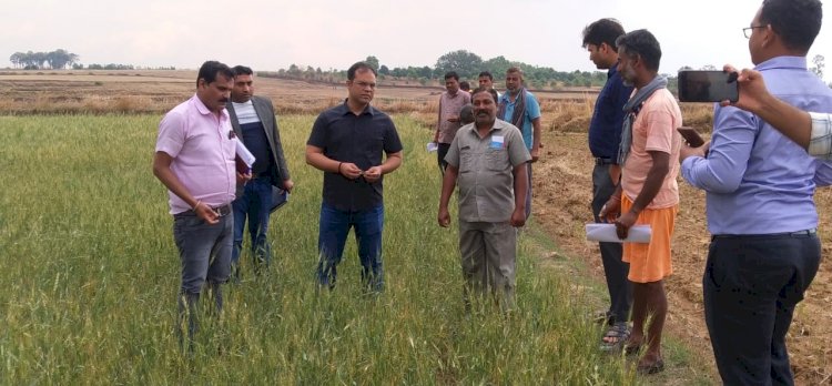 Sarguja News : ओलावृष्टि के कारण फसल क्षति का जायजा लेने कलेक्टर पहुंचे फील्ड फसल क्षति का नजरी आकलन कर मुआवजा राशि हेतु आवश्यक कार्यवाही करने के निर्देश