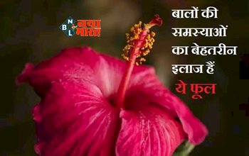 Hibiscus Flower For Hair : बालों के लिए वरदान है यह फूल, बालों की समस्याओं से मिलेगा छुटकारा, जाने हेयर केयर में शामिल करने का तरीका, कुछ ही दिनों में दिखेगा फर्क...