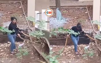 Snake And Girl Viral News: बिल में जाते सांप को खींचने लगी लड़की, करने लगी ऐसी हरकत, नज़ारा देख लोगों के भी छुटे पसीने- देखें वीडियो...