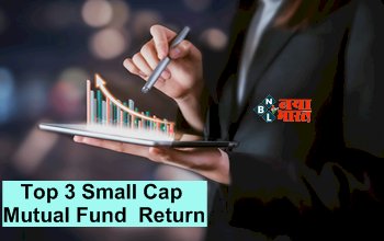 Top 3 Small Cap Mutual Fund Return : Mutual Fund के निवेशक हुए मालामाल! 10 साल में एक लाख बन गए ₹10 लाख, यहाँ देखें इन टॉप 3 Small Cap Funds का रिटर्न, जाने क्या हैं स्माल कैप फंड्स...