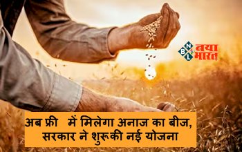 Free Seeds Scheme : किसानो के लिए बड़ी खुशखबरी! अब फ्री में मिलेगा अनाज का बीज, सरकार ने शुरू की नई योजना, ऐसे उठायें लाभ...