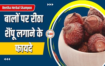 Reetha Herbal Shampoo : घने और मोटे बालों के लिए घर पर बनाएं रीठा शैंपू, पहले से भी ज्यादा चमकने लगेंगे आपके बाल, ये है आसान तरीका...