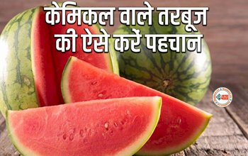 How To Choose Ripe Watermelon : तरबूज प्राकृतिक रूप से पका है या केमिकल का है कमाल, खरीदते समय ऐसे करें पहचान, बचें खतरनाक बीमारियों से, यहाँ देखें पहचान करने के आसान तरीके...