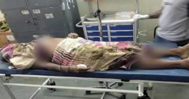 CG NEWS : शौच करने गई बुजुर्ग महिला को दंतैल हाथी ने कुचला, मौके पर दर्दनाक मौत, परिवार में पसरा मातम