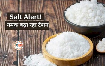 Salt Free Diet Good For Weight Loss : वजन कम करने के लिए नमक छोड़ना सही या गलत? जाने एक्सपर्ट की राय...