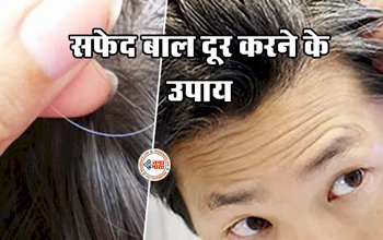 How to Force Black : सफ़ेद बालों ने कर रखा है परशान! अपनाएँ ये शानदार घरेलु नुस्खें, कुछ ही दिनों में नज़र आएगा फर्क...