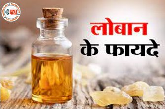 Frankincense Remedies: हिंदू धर्म में लोबान का होता है विशेष महत्व, इसके उपाय और टोटके लाइफ में चल रही परेशानियों के लिए है बेहद लाभकारी...