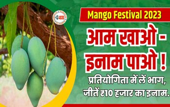 Mango Festival: आम महोत्सव का आयोजन ! आम खाओ – इनाम पाओ प्रतियोगिता में लें भाग, जीतें ₹10 हजार का इनाम, फटाफट कराएं रजिस्ट्रेशन....
