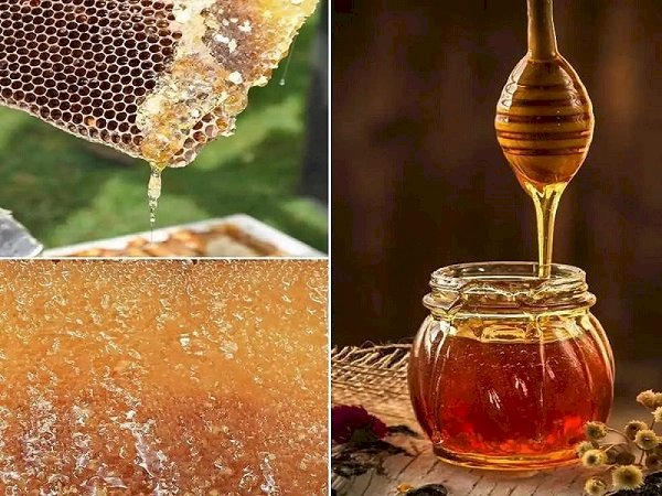 Pure And Delicious Honey : छत्तीसगढ़ में यहां तैयार हो रहा है शुद्ध और स्वादिष्ट शहद, अब विदेशों में बेचने की हो रही तैयारी