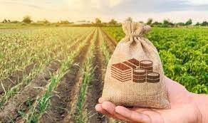 Agriculture Loan : किसानों को 6100 करोड़ रुपए कृषि ऋण बांटेगी छत्तीसगढ़ सरकार, अब तक 2447 करोड़ 89 लाख ऋण हो चुका वितरण