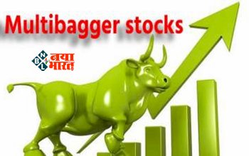 Multibagger Share News : इस कंपनी के शेयर ने निवेशको को किया मालामाल, 10 हजार के बन गए 10 लाख, जाने अब शेयर के प्राइज...