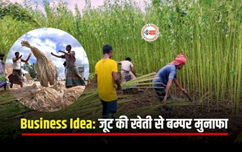 Business Ideas : खेती कर कमाना चाहते है बम्पर मुनाफा! तो शुरू करें इस नकदी फसल की खेती, सरकार भी करेगी मदद...