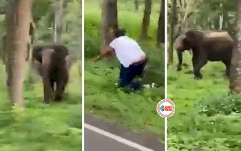 Elephant Viral News : जंगल में घूम रहा था शख्स, तभी मुलाक़ात हुई जंगली हाथी से, फिर जो हुआ, हालत खराब हो गई- देखें वीडियो...