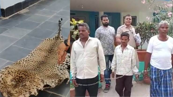Chhattisgarh तेंदुए की खाल बरामद: पुलिस को मिली बड़ी सफलता, तेंदुए की खाल के साथ चार तस्कर गिरफ्तार,लाखों की तेंदुए की खाल भी बरामद......