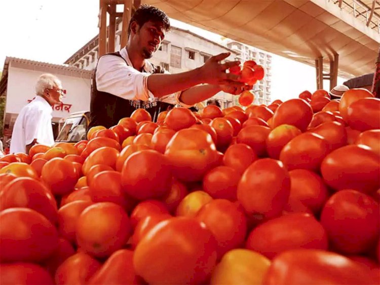 TOMATO PRICE HIKE : टमाटर की कीमत ने बिगाड़ा किचन का बजट, जाने क्या है भाव
