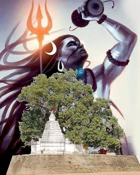 Sawan 2023 : सावन में करें छतीसगढ़ के इन प्रसिद्ध शिव मंदिरों में दर्शन, बाबा भोलेनाथ करते हैं हर मुराद पूरी.....