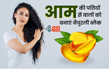 Mango leaves benefits : आम की पत्तियों से बालों को बनाएं नैचुरली काला, ऐसे करें इस्तेमाल...