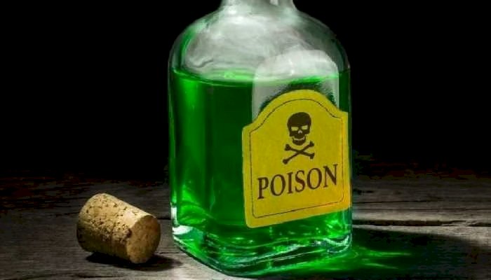 CG CRIME NEWS : एक ही परिवार के 4 लोगों ने पीया जहर, दो बच्चे भी शामिल, इस वजह से उठाया ये आत्मघाती कदम.....