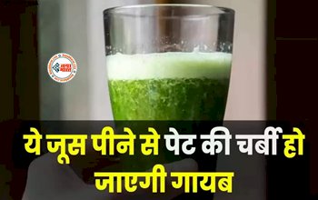 Curry Leaves Juice Benefits : बढ़ती चर्बी पे लगाना है लगाम, तो इस हरे पत्ते के जूस का करें सेवन, चर्बी हो जाएगी गायब...