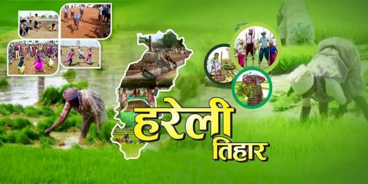 छत्तीसगढ़ में इस दिन धूम-धाम से मनाया जाएगा हरेली त्योहार, जानिए क्यों ये दिन किसानों के लिए होता है अहम......