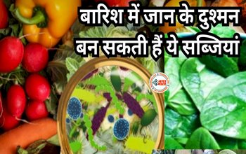 5 Vegetables One Must Avoid Consuming in Monsoon : मानसून में भूलकर भी इन 5 सब्जियों को न लगाएं हाथ, आंतों को सड़ा देंगे, ये है इसका कारण...