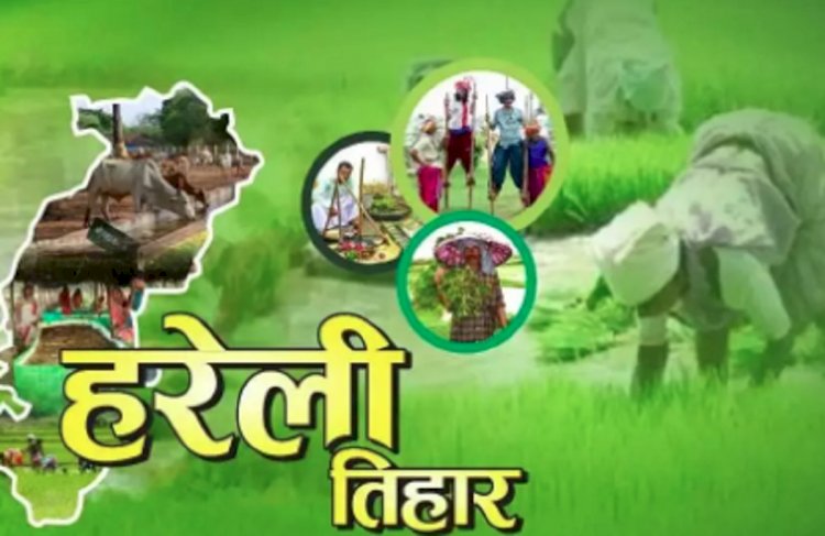 Hareli news : इस तरह मनाया जाता है त्योहार, जाने किन चीज़ो से होती है पूजा