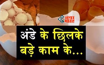 Benefits of Egg Shells : बड़े काम के अंडे के छिलके, भूलकर भी ना करें फेंकने की गलती, जाने इसके अनसुने और चौकाने वाले फायदें...
