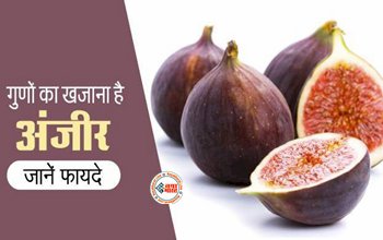 Fig Health Benefits : गुणों का खजाना है अंजीर, कैल्शियम, विटामिन, फेनोल, ओमेगा से है भरपूर, जानें इसके चमत्कारी फायदे...