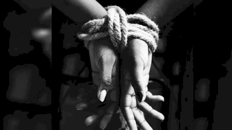 CG Crime News : आदिवासी पुरुष और दो महिलाओं को बनाया बंधक, फिर की ये शर्मनाक हरकत, आरोपी गिरफ्तार....