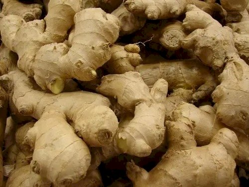 Vegetables Price Hike : छत्तीसगढ़ में टमाटर के बाद अब इस सब्जी के दाम सुनकर लोग हुए लाल ....