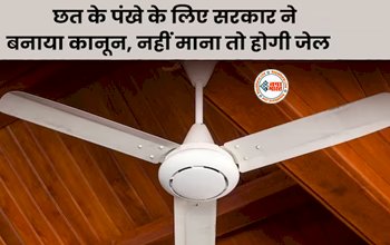 Government Made Rules For Fans : छत के पंखों यानी सीलिंग फैन के लिए के लिए आ गया कड़ा कानून, खरीदने से पहले जान लें, नहीं तो...