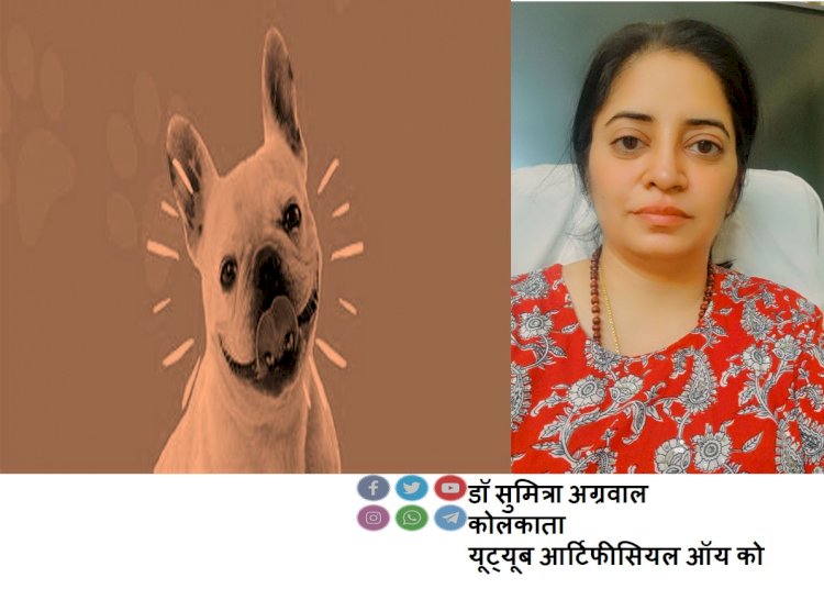 इंटरनेशनल डॉग डे के बारे में जानते है डॉ सुमित्रा से...