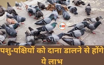 Vastu Tips : पशु-पक्षियों को दाना देने से होते है ये लाभ, रुके काम हो जाते हैं पूरे, घर में आती है समृद्धि...