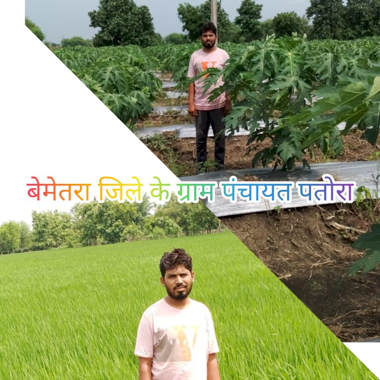 CG:किसानों के लिए संजीवनी बनी ‘राजीव गांधी किसान न्याय योजना...धान के अलावा दूसरी फसल की खेती कर रहे किसान...किसान एन कुमार धान के अलावा दूसरी फसल पैदा कर आय में कर रहे बढ़ौतरी...बेरला के ग्राम पतोरा का