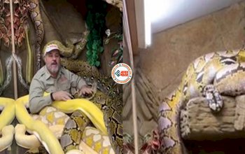 Snake Viral News : चिड़ियाघर में दर्जनों सांपों के बीच फंसा शख्स, लेकिन फिर जो हुआ, नज़ारा देख नहीं होगा यकीन- देखें वीडियो...