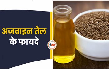 Celery is Very Beneficial : अजवाइन तेल कई तरह की बीमारियों से दिलाता है निजात, इस तरह करें इस्तेमाल...