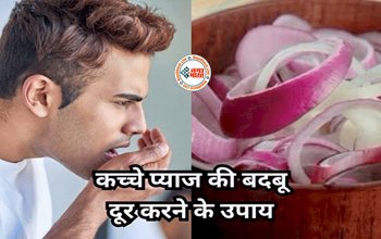 Onion Odour : प्याज खाने के बाद आपके भी मुंह से आती है बदबू, यहाँ जाने बदबू दूर करने के उपाय, इन चीजो का करें सेवन...