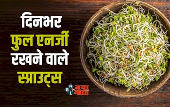 Sprouted Food Health Benefits : बहुत Healthy होते हैं स्प्राउट्स फ़ूड, दिनभर एनर्जी से फुल रहेगा शरीर और कंट्रोल रहेगा डायबिटीज व कोलेस्ट्रॉल, आज ही अपने डाइट में करें शामिल...