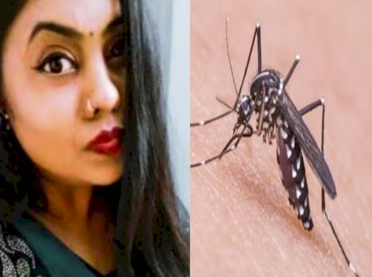 डेंगू का कहर: 28 वर्षीय महिला डॉक्टर की डेंगू से मौत, अलर्ट मोड पर स्वास्थ्य विभाग....