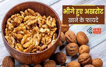 Soaked Walnuts Benefits for Health : रोज खाएं भीगे हुए अखरोट, शरीर की इन बिमारियों से मिलेगा छुटकारा, पोषक तत्वों से होता है भरपूर...