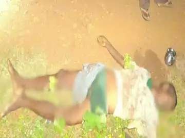 CG ब्रेकिंग : प्रदेश में हाथी का कहर जारी...बौखलाए दंतैल हाथी ने सूंड से उठाकर पटक - पटक कर मार डाला , तीन साथियों ने दौड़कर बचाई जान.......