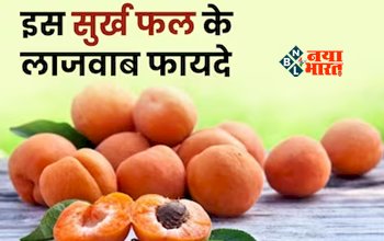 Benefits of Apricot : ब्यूटी और ब्रेन दोनों के लिए वरदान है खुबानी, हार्ट भी होता है मजबूत, जाने इसके फायदें...