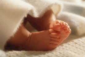 CG में ममता हुई शर्मसार : नवजात बच्ची को झाड़ियों में फेंक गई निर्दयी मां, हालत नाजुक, अस्पताल में इलाज जारी....