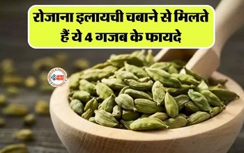 Health Benefits Of Cardamom: रोजाना चबाएं छोटी इलायची, खुशबू के आलावा मिलते है 4 गजब के फायदें...