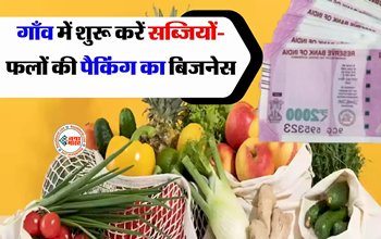 Business Idea : गाँव से ही शुरू कर सकते है ये नए जमाने का बिसनेस, लागत कम, मुनाफा जबरदस्त, सरकार भी करेगी मदद...